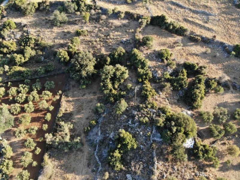 Gavalochori Kreta, Gavalochori: Panoramagrundstück mit Meer- und Bergblick zu verkaufen Grundstück kaufen